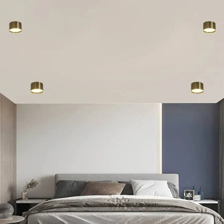 Flash White Glow Ceiling Lamp/Lights