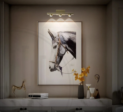 Mirror/Picture Wall Light (Picture Light)