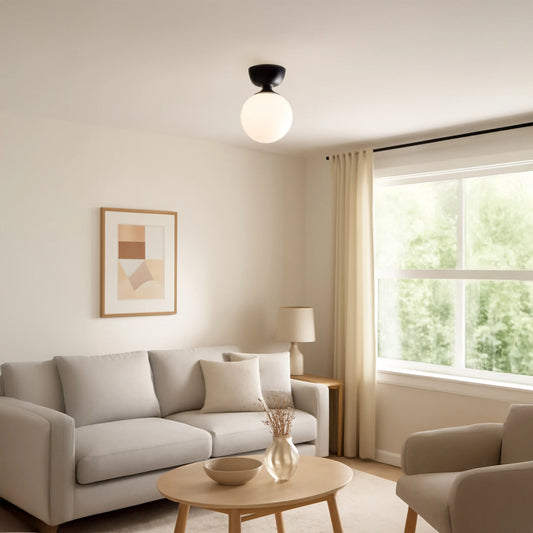 Flush Mount Ceiling Light